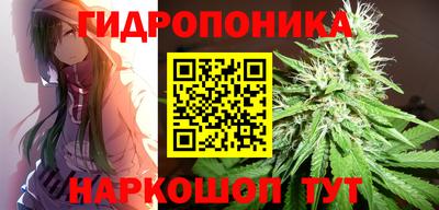 крисы Волжск