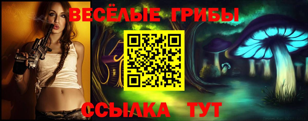 Галлюциногенные грибы GOLDEN TEACHER Борзя