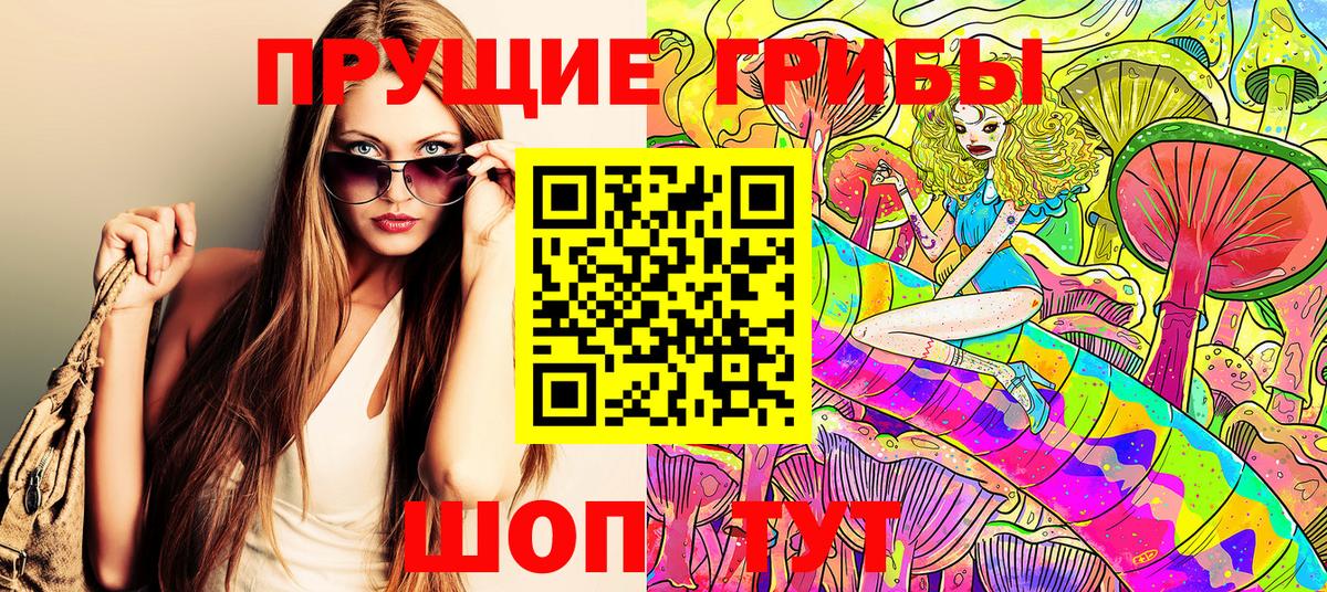 Псилоцибиновые грибы прущие грибы  Вход с VPN  Борзя 